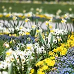 מלון Am Schlosspark Zum Kurfuerst Oberschleißheim