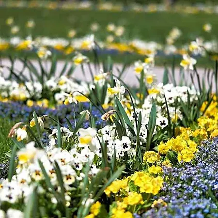 Szálloda Am Schlosspark Zum Kurfuerst 3*